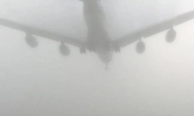 FOG AFFECTS FLIGHT