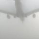 FOG AFFECTS FLIGHT